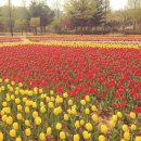 문암생태공원(매점) 이미지