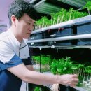 익산 농장 이미지