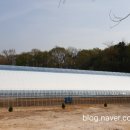 성욱농장 이미지