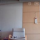 월드축산물판매장 네이버블로그