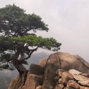 일송정 이미지