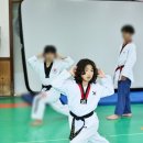 용인대 가온 태권도 이미지