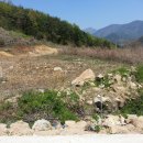 최 락 당 이미지