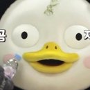 강남크리닝 이미지