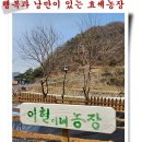 손자농장 이미지