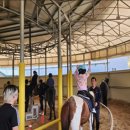 이순신승마센터 이미지