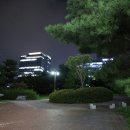 둔산 선사유적지 이미지
