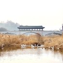 대성대여소 이미지