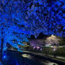 지에스25 천안원성천점 이미지