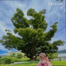 광명노인요양원 이미지