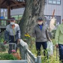 삼숭1통 네이버블로그