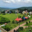 달음산자연휴양림 이미지