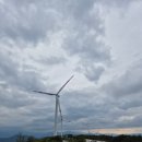 바람에 언덕 | 거창 감악산 별바람언덕 후기 | 주차 꿀팁 + 보라색 국화 포토존 명소