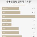가좌복싱 이미지