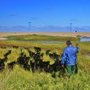 가곡천흙과돌 이미지