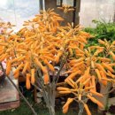 금은농장 이미지