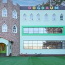 도그다움 이미지