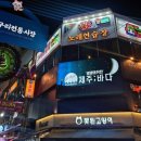 와썹코인노래연습장 이미지