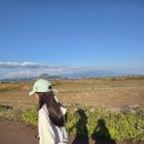 가고픈청보리 이미지