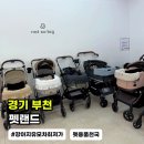 장일오토랜드 앞 | 부천 강아지 유모차 할인매장[펫랜드]피카고 프리투고 2.5 유모차 시승 방문 후기