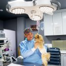 이지훈동물병원 이미지