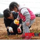 다둥이농장 이미지