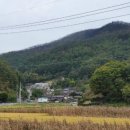 낙동강제방(2) 이미지