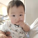 멍츄릅 네이버블로그