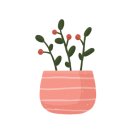 청소년발달 이미지