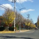 (주)거양금속