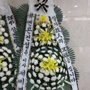 사구상사