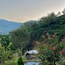 섬진강 플로렌스 이미지