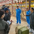 창녕축산 이미지