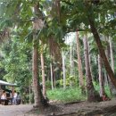 당구마을 이미지