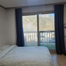 포레스트 월악 이미지