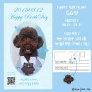[리뷰] 강아지 생일 기념 지하철 광고 건 후기