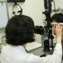 백내장(Cataract) 및 녹내장(Glaucoma) 이미지