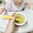 ㈜즐거운여행 | 베베쿡 이유식 초기2 후기 초기이유식 추천