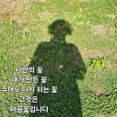 그마음;꽃
