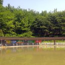 군자 낚시터 이미지