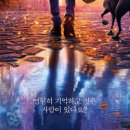 코코픽스 이미지