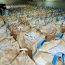 용인시농협쌀조합공동사업법인 이미지