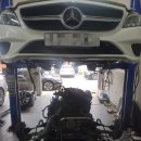 STL모터스 이미지