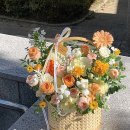 오도르플라워