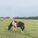 경하목장 이미지