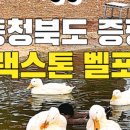 증평세차장 네이버블로그