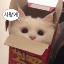 몽또 이미지