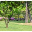 호암미술관 이미지