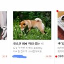 시온김밥 이미지