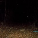 박달사거리_서 이미지